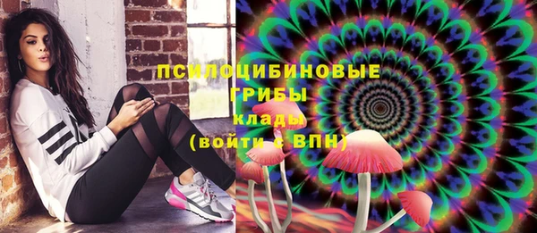 Альфа ПВП Вяземский