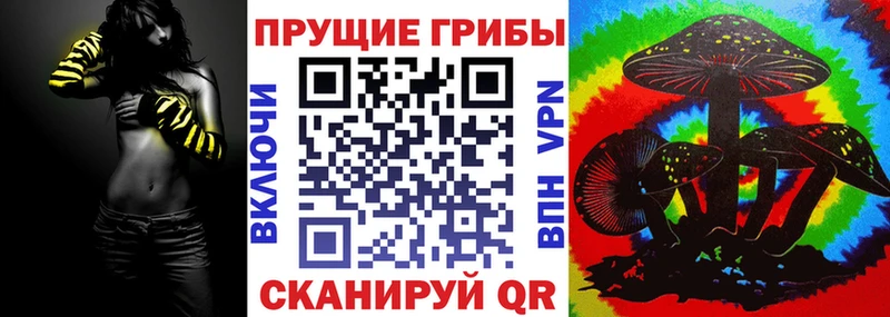 Псилоцибиновые грибы Psilocybe  купить наркоту  Донецк 